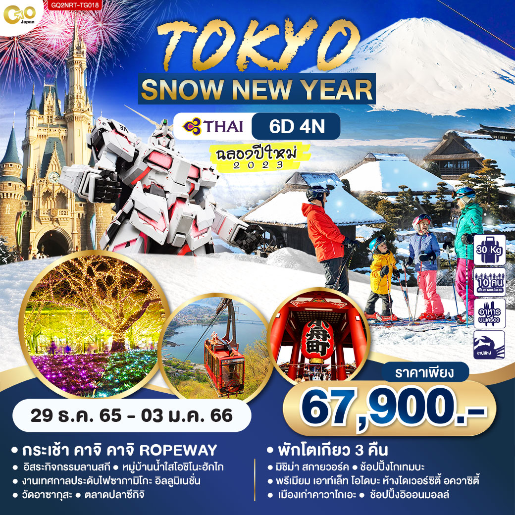 TOKYO SNOW NEW YEAR 6D4N โดยสายการบิน Thai Airways (TG)